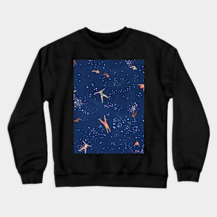 Sky swim Crewneck Sweatshirt